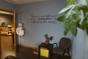 Rochester Chiropractic Care and Wellness Office